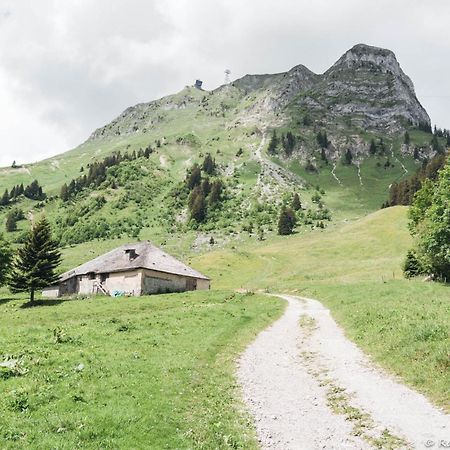Joli Studio Au Pied Du Moleson Грюйер Экстерьер фото
