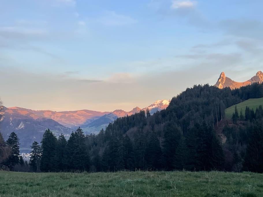 Joli Studio Au Pied Du Moleson Грюйер Экстерьер фото